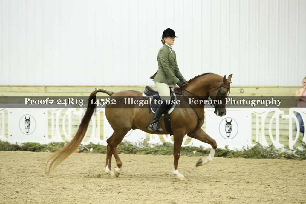 Proof 24R13_14582