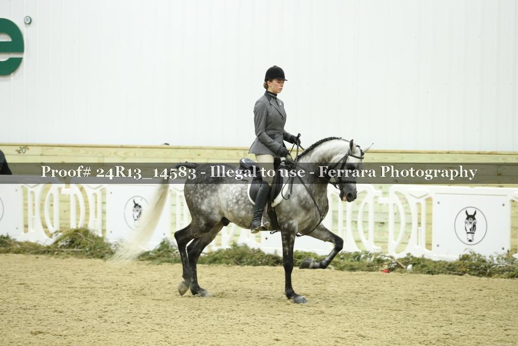 Proof 24R13_14583
