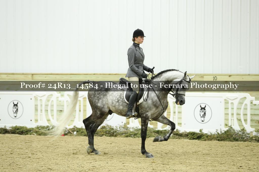 Proof 24R13_14584