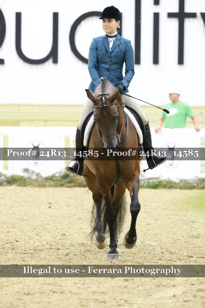 Proof 24R13_14585