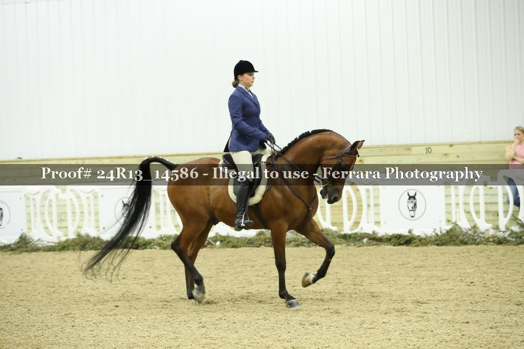 Proof 24R13_14586