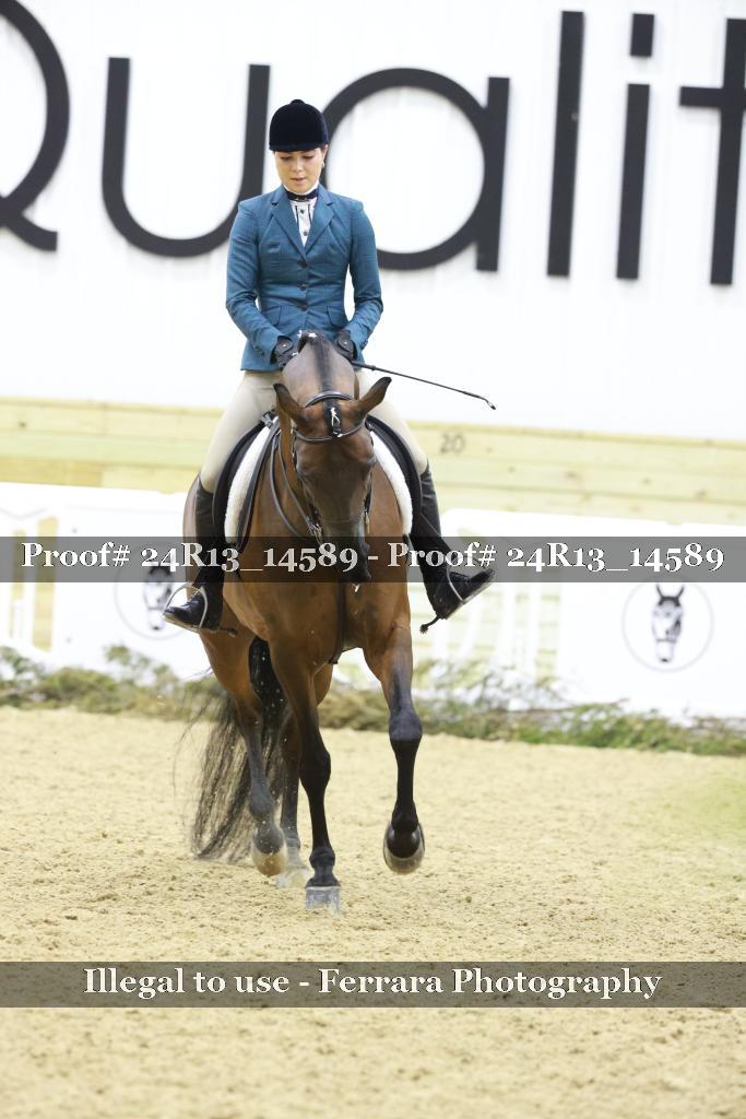 Proof 24R13_14589