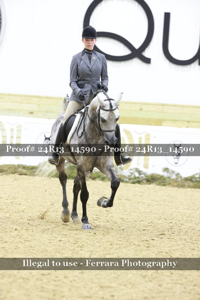 Proof 24R13_14590