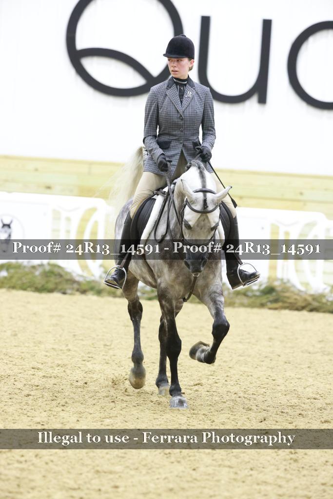 Proof 24R13_14591