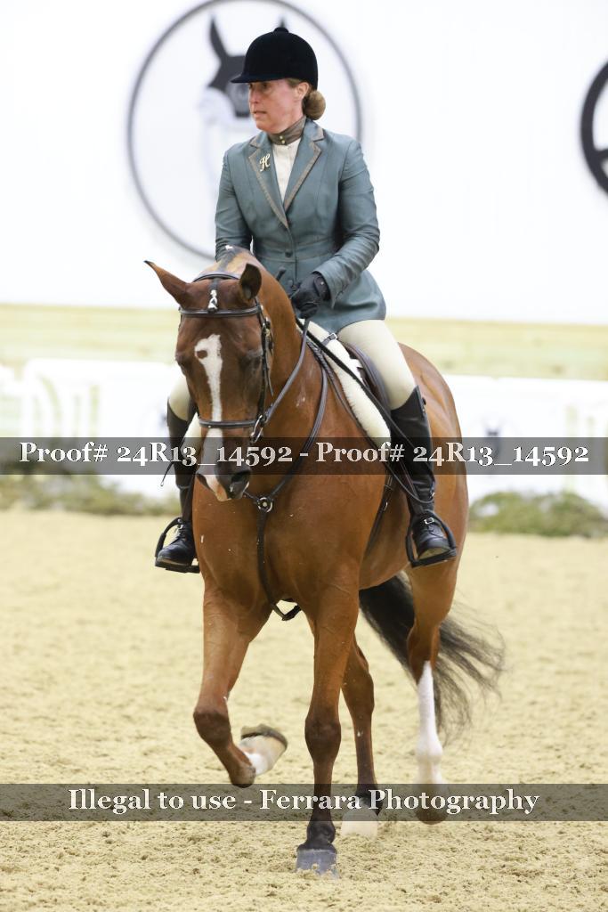 Proof 24R13_14592