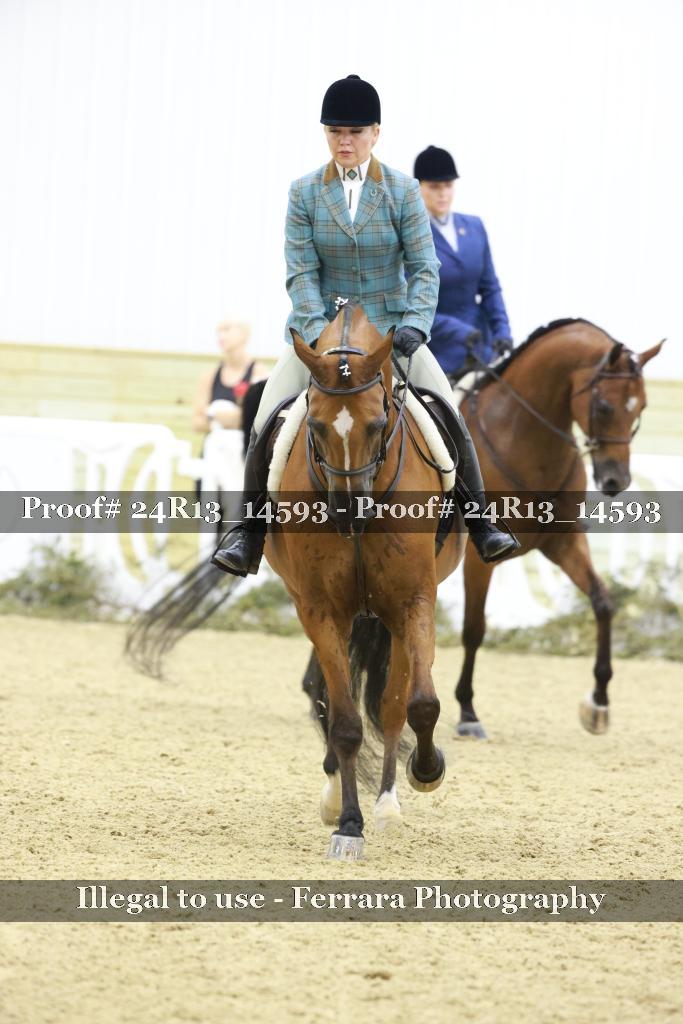 Proof 24R13_14593