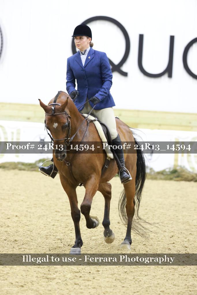 Proof 24R13_14594