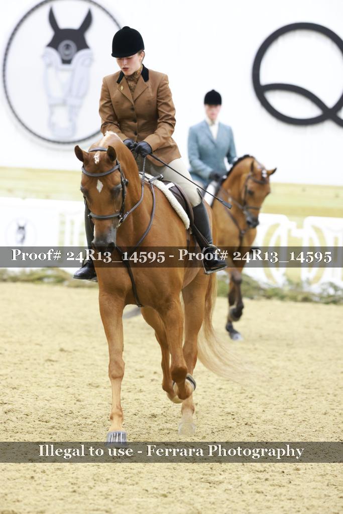 Proof 24R13_14595