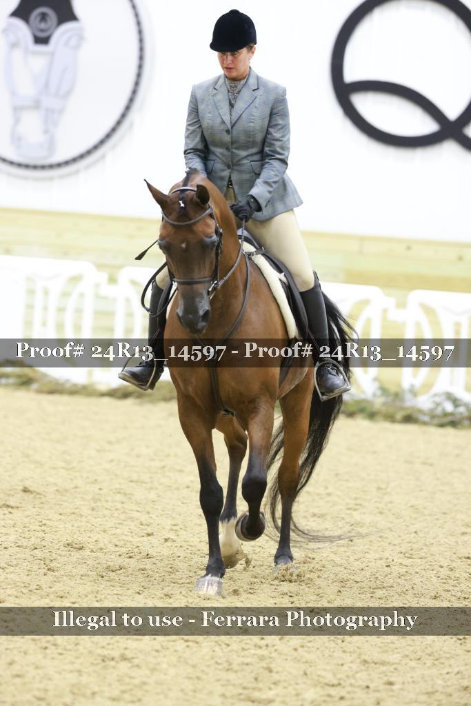 Proof 24R13_14597