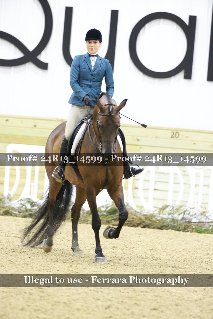 Proof 24R13_14599
