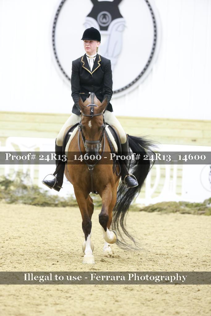 Proof 24R13_14600