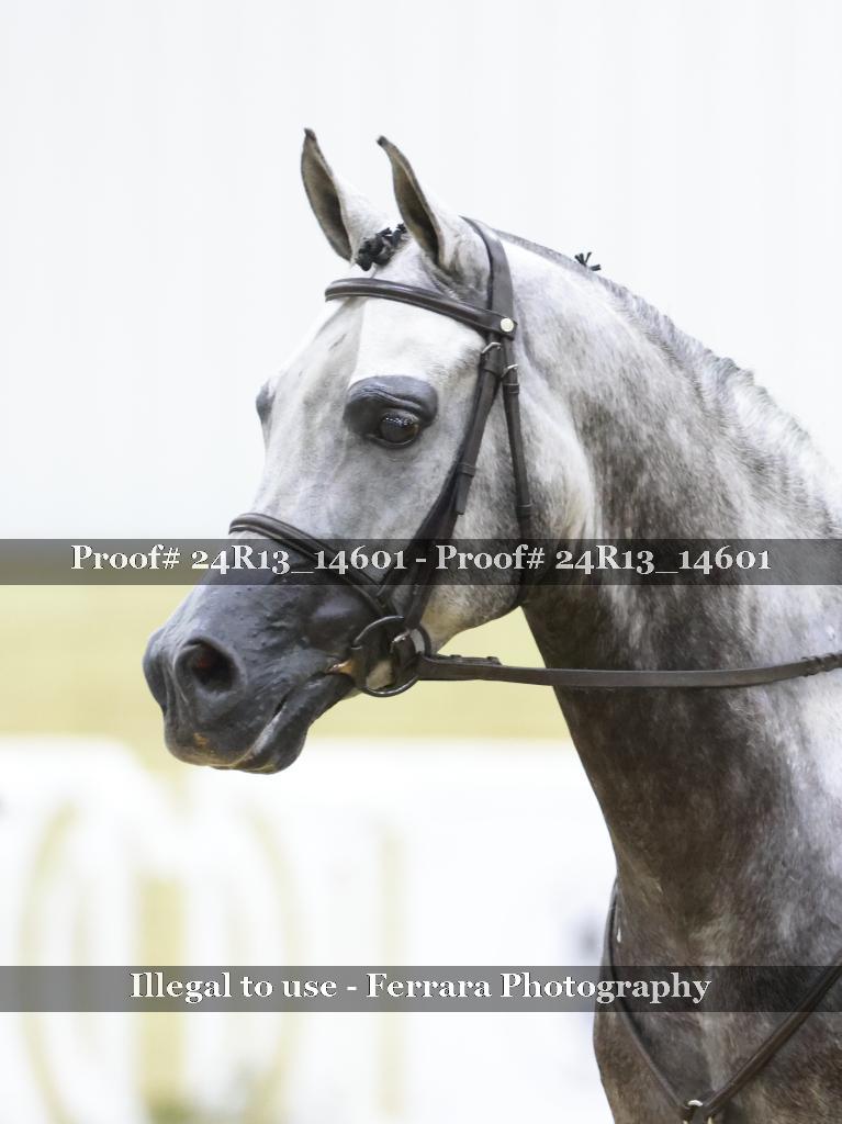 Proof 24R13_14601