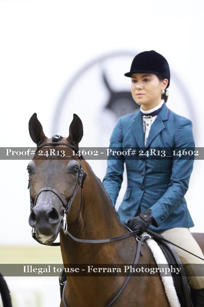 Proof 24R13_14602