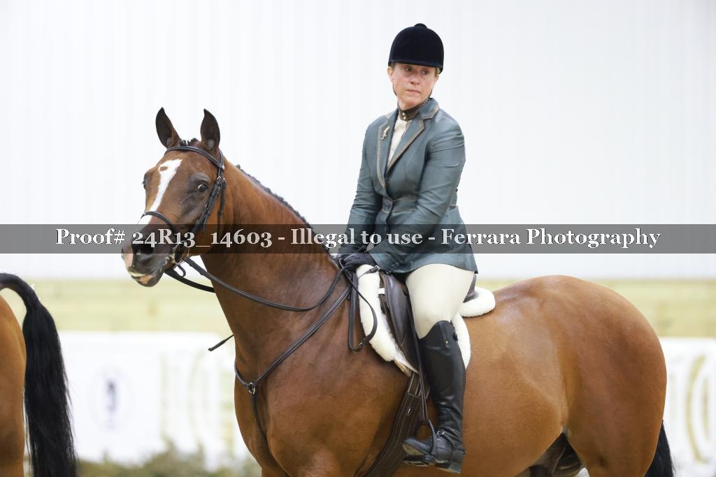 Proof 24R13_14603