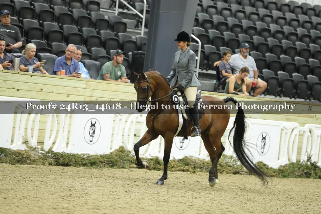 Proof 24R13_14618