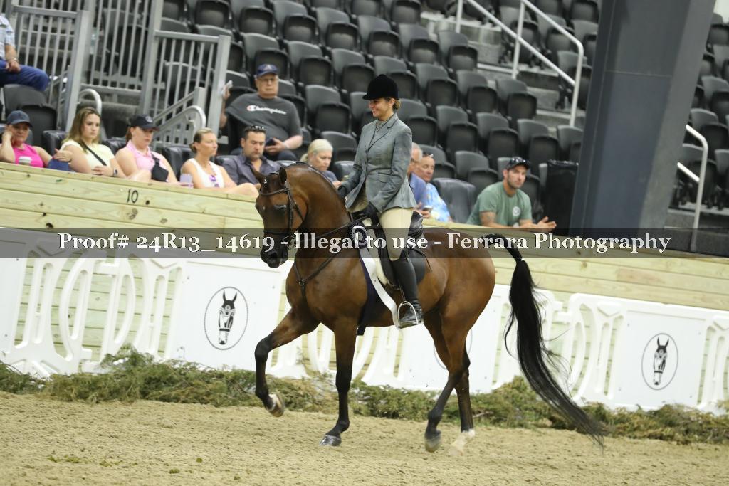 Proof 24R13_14619