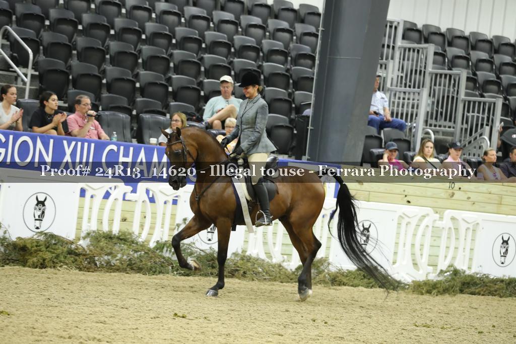 Proof 24R13_14620