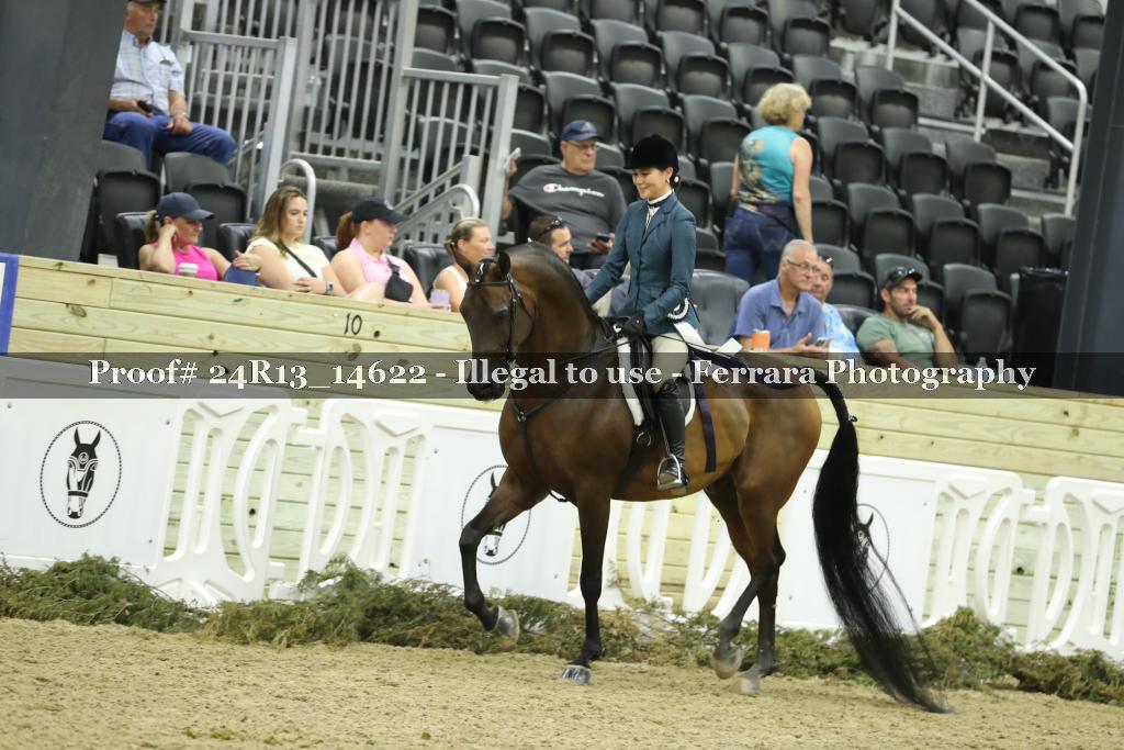 Proof 24R13_14622
