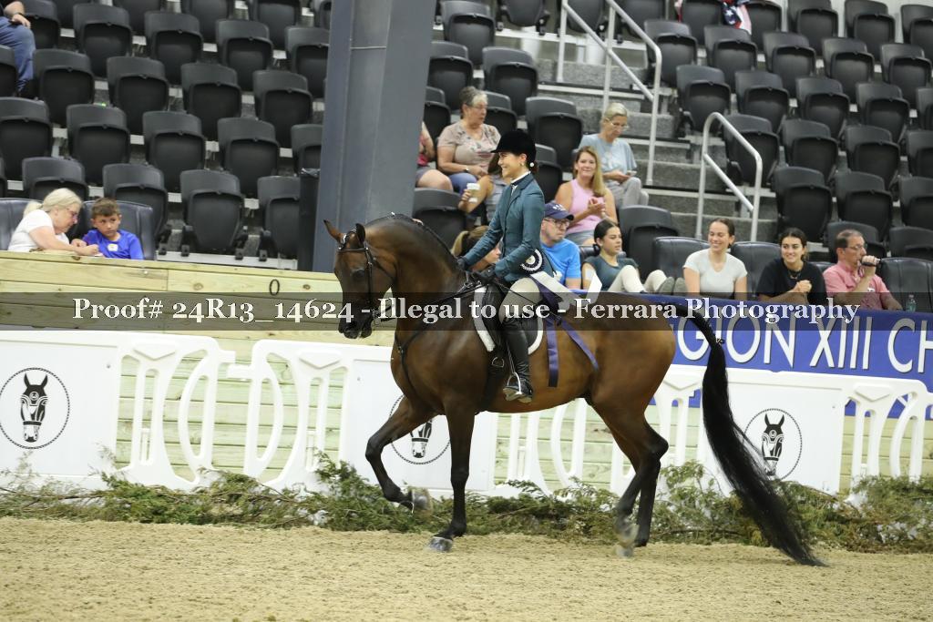 Proof 24R13_14624