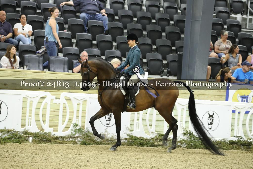 Proof 24R13_14625