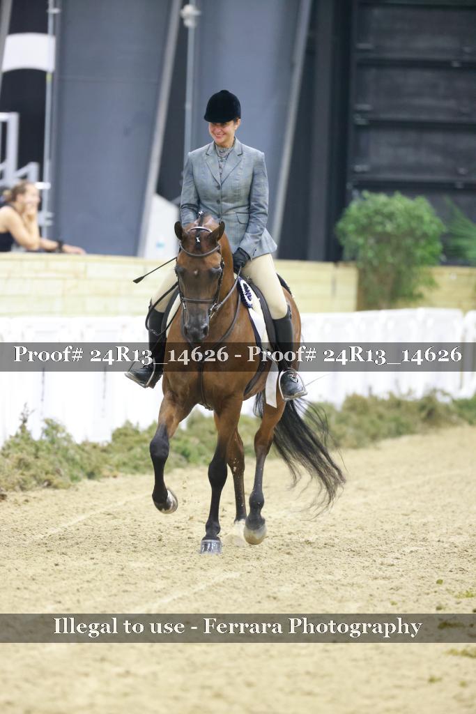 Proof 24R13_14626