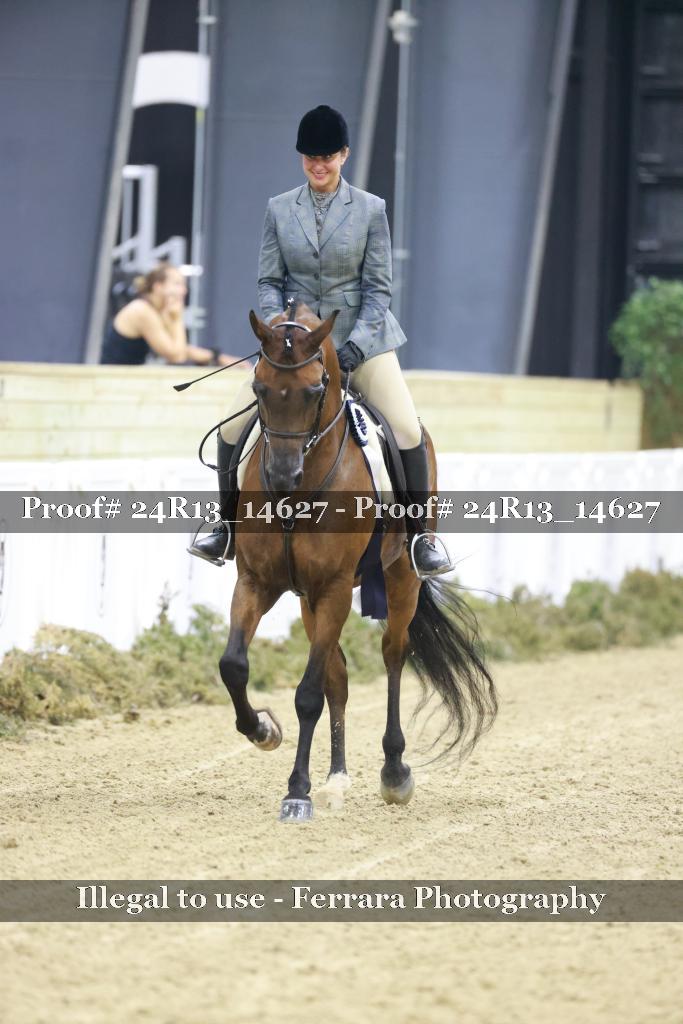 Proof 24R13_14627