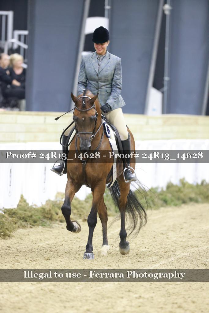 Proof 24R13_14628
