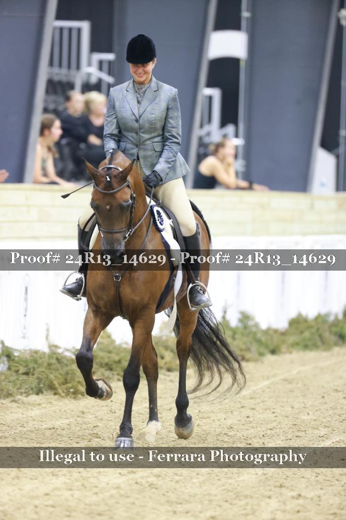 Proof 24R13_14629