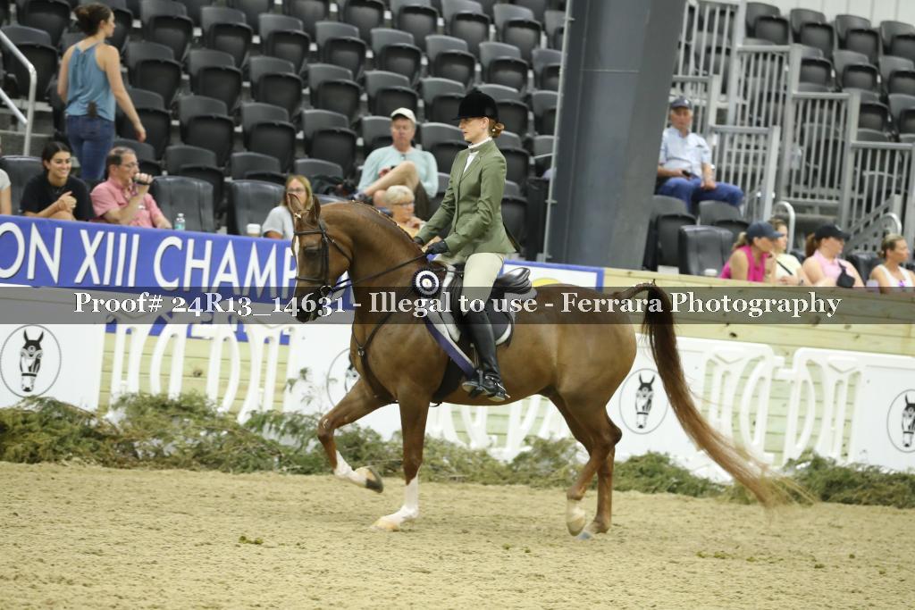 Proof 24R13_14631