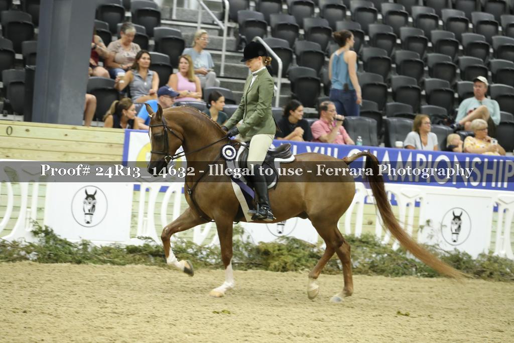 Proof 24R13_14632