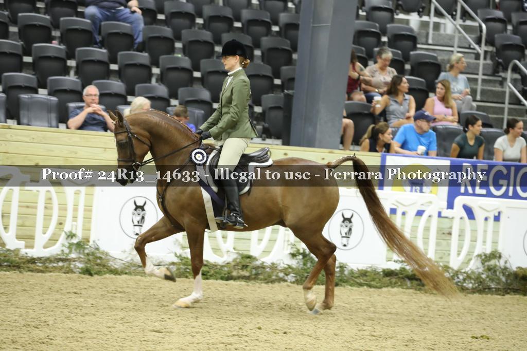 Proof 24R13_14633