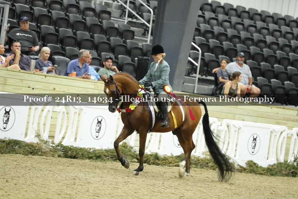 Proof 24R13_14634