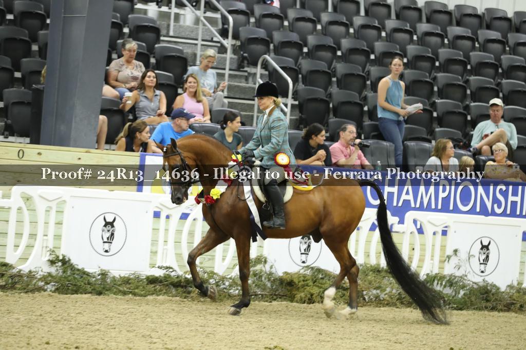 Proof 24R13_14636
