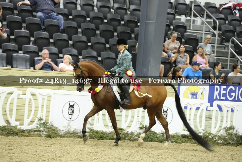 Proof 24R13_14637