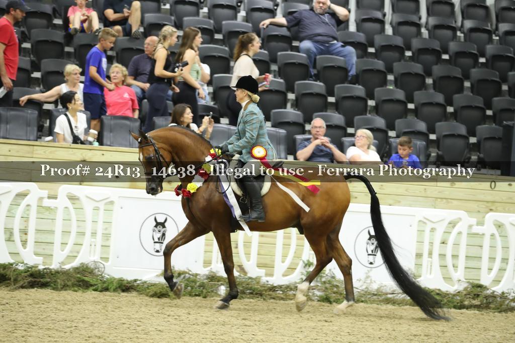 Proof 24R13_14638
