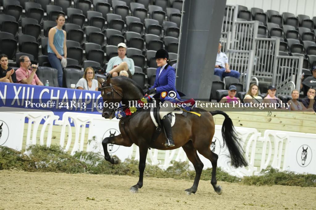 Proof 24R13_14639