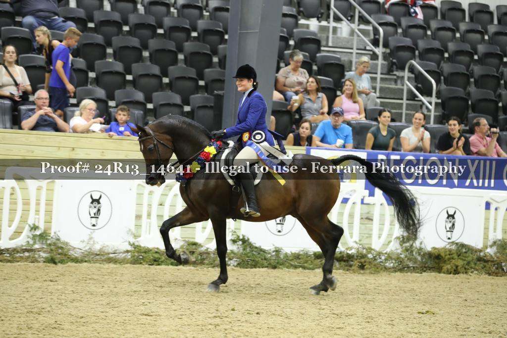 Proof 24R13_14641