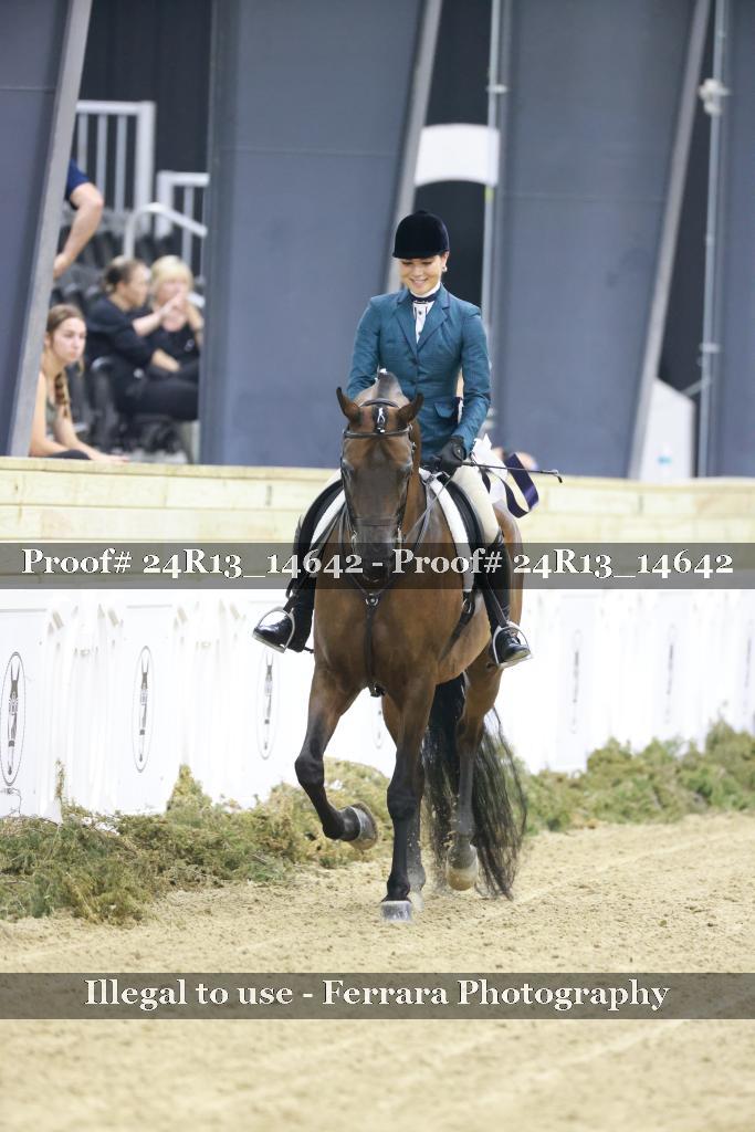 Proof 24R13_14642