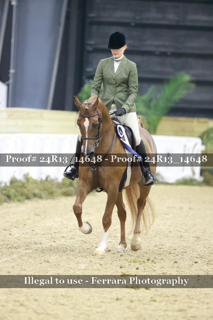 Proof 24R13_14648
