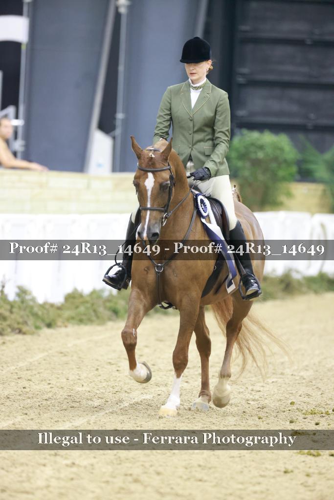 Proof 24R13_14649