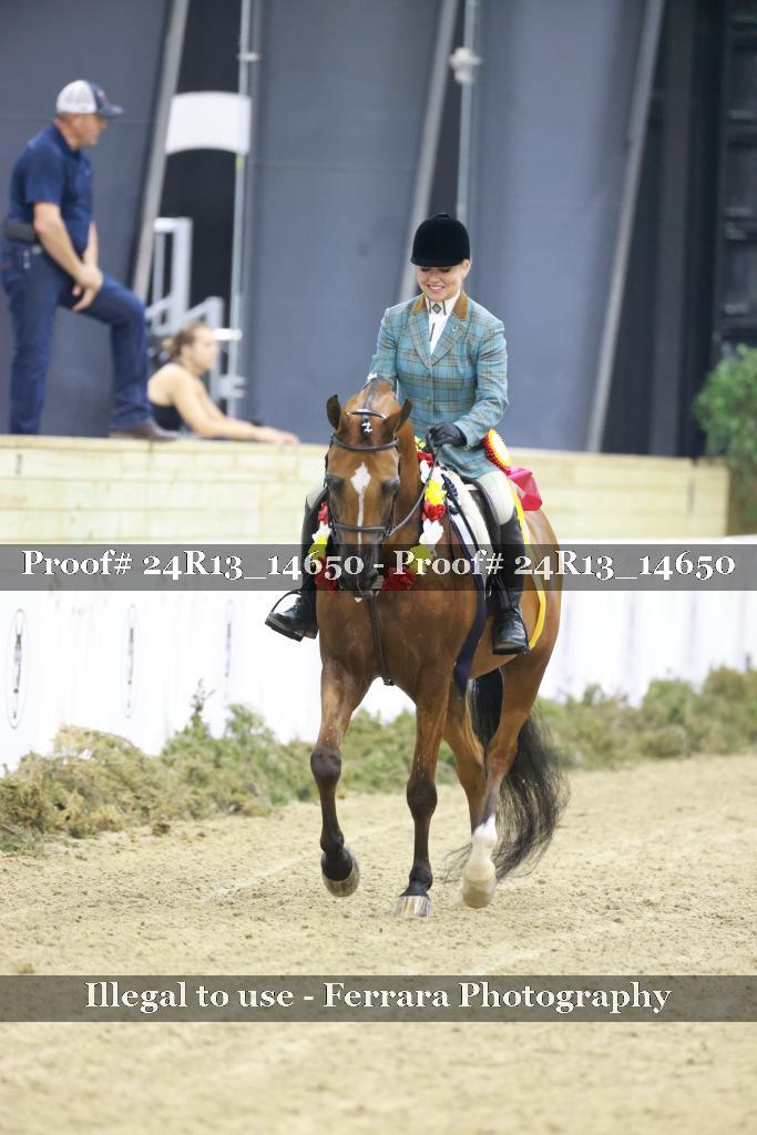 Proof 24R13_14650