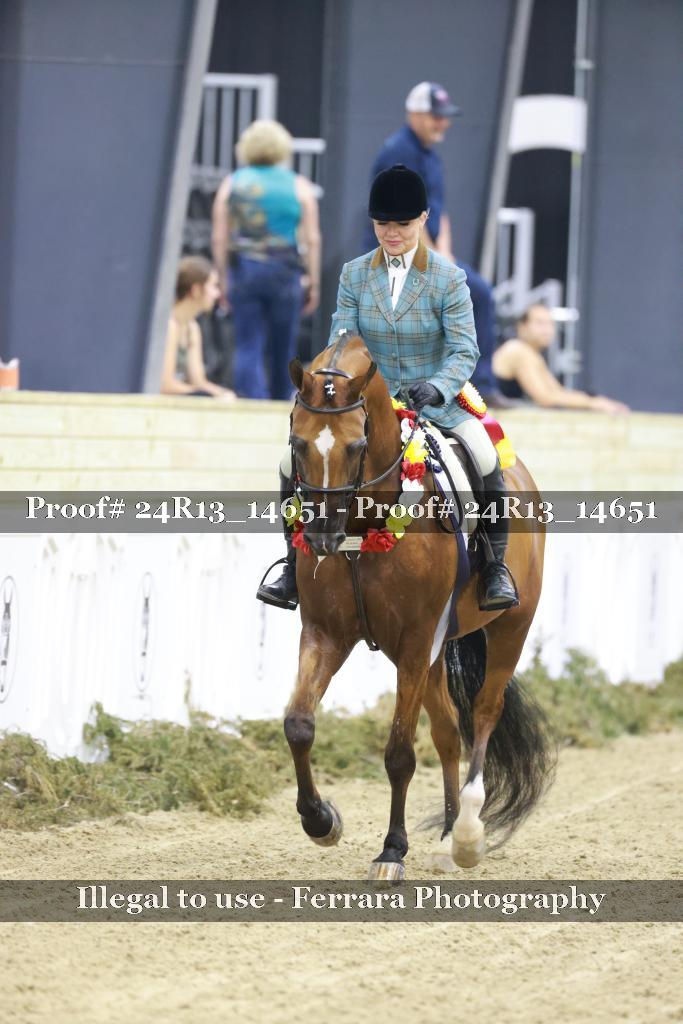 Proof 24R13_14651