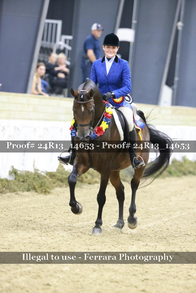 Proof 24R13_14653