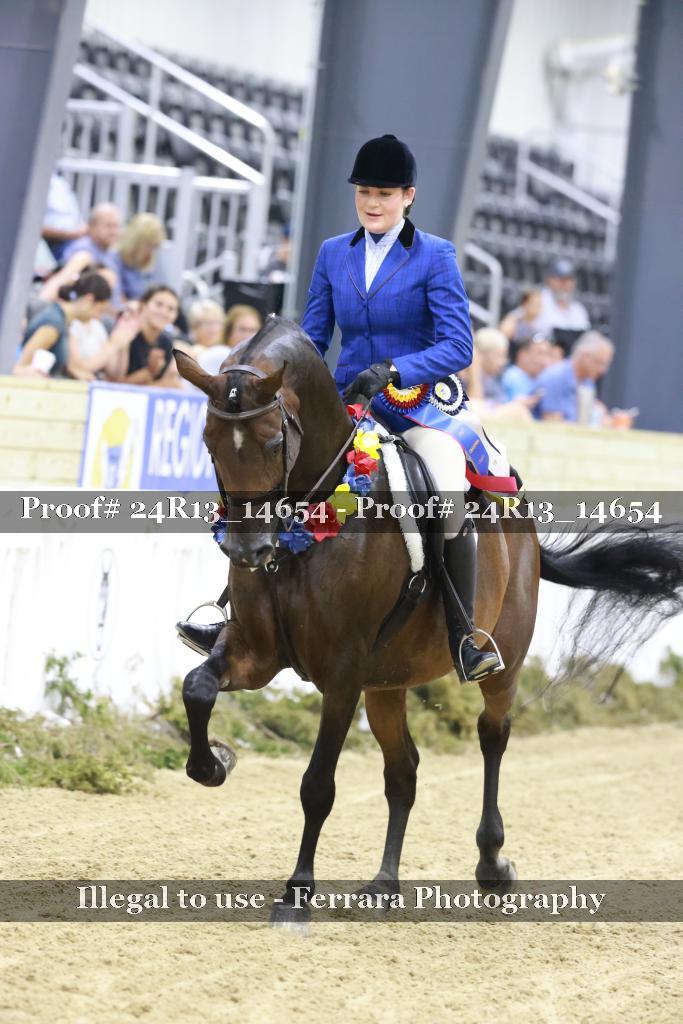 Proof 24R13_14654