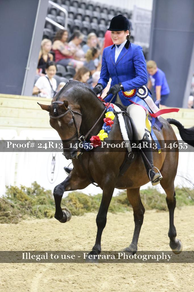 Proof 24R13_14655