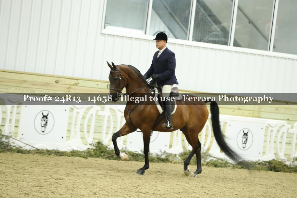 Proof 24R13_14658