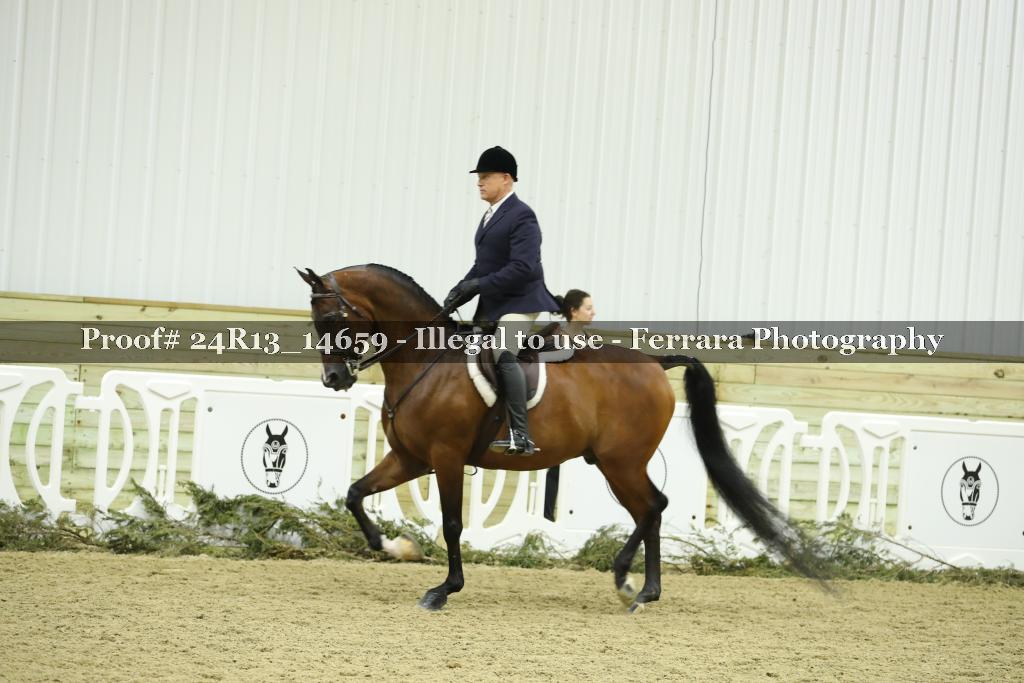 Proof 24R13_14659