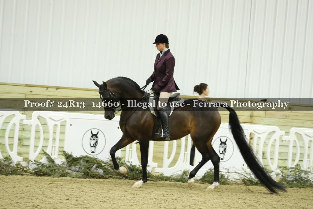 Proof 24R13_14660