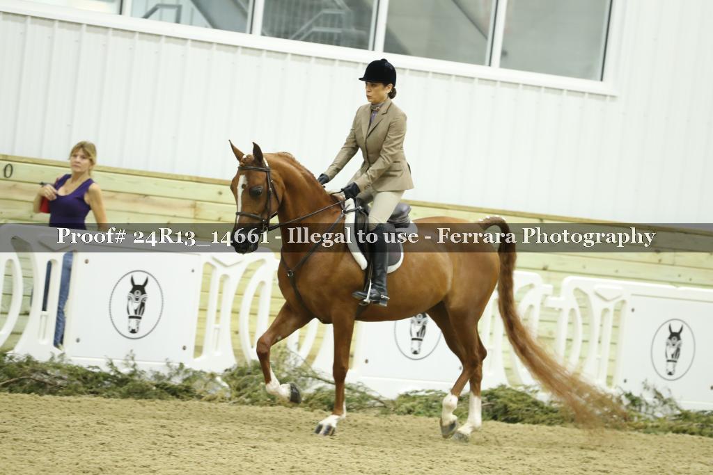 Proof 24R13_14661