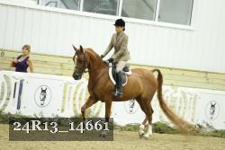 24R13_14661 proof